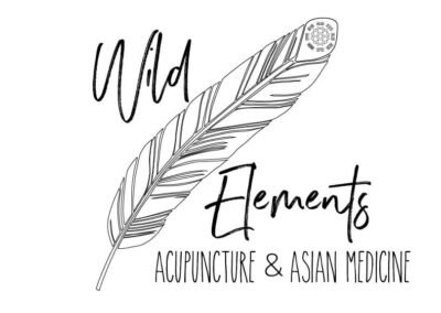 Wild Elements Logo Design